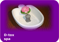D-tox spa